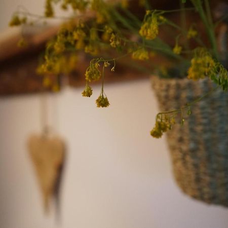 Apartamento Con Jardin En La Cerdanya Err Kültér fotó